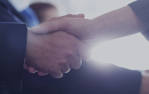 江苏标度人造草坪有限公司